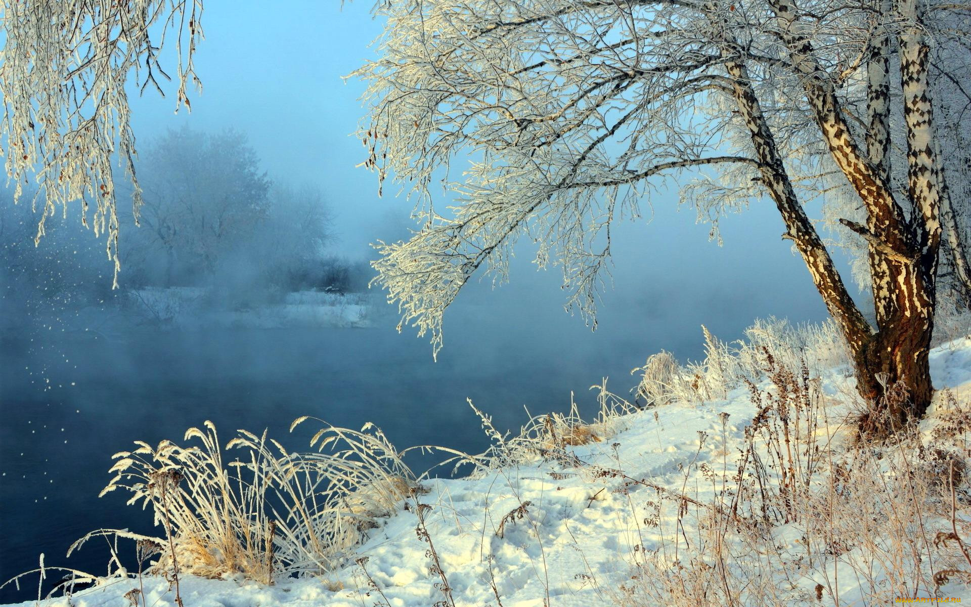 Фото зимнее утро на реке